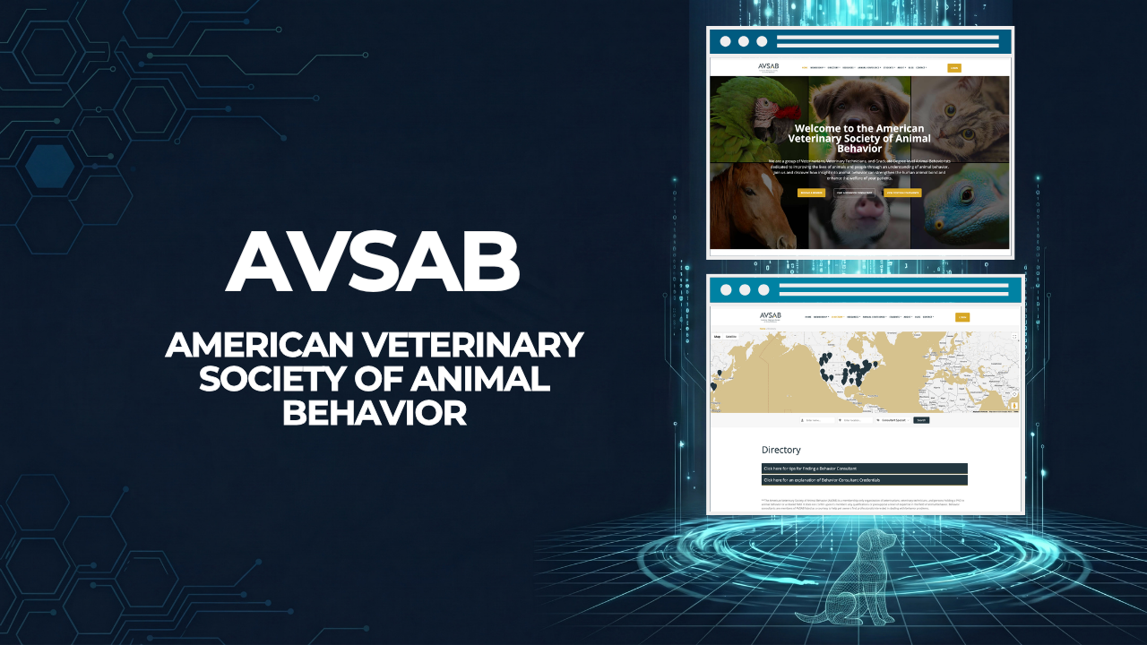 Graphic with the AVSAB name beside screenshots of the avsab.org home page and member directory