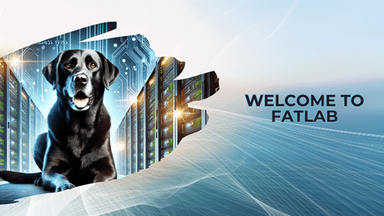 Watch our support overview video